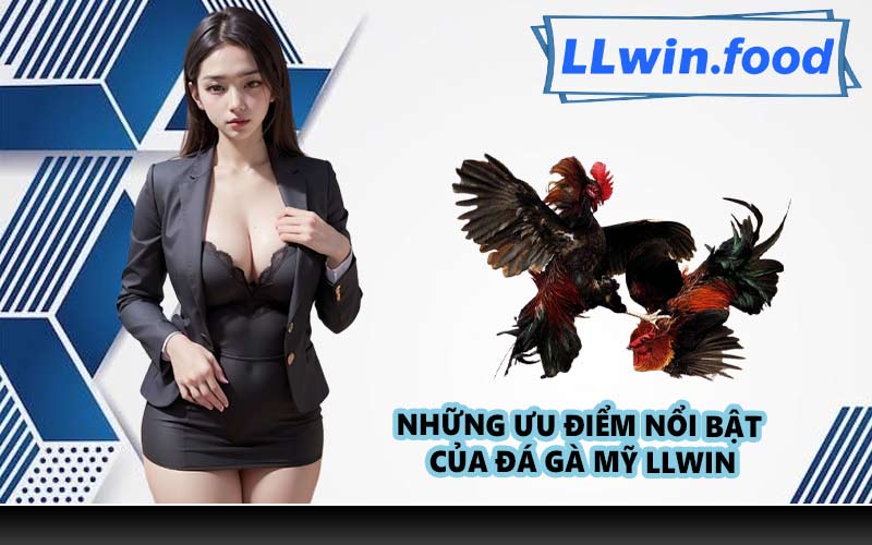 Những ưu điểm nổi bật của đá gà Mỹ LLWIN